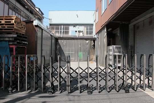 太田区のねこ