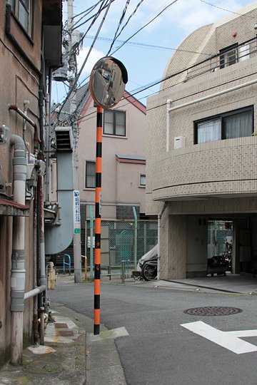 太田区のねこ