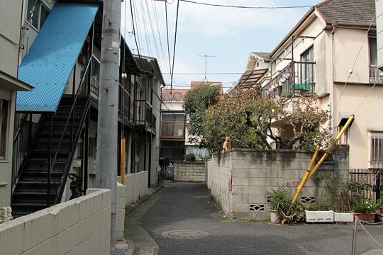 太田区のねこ