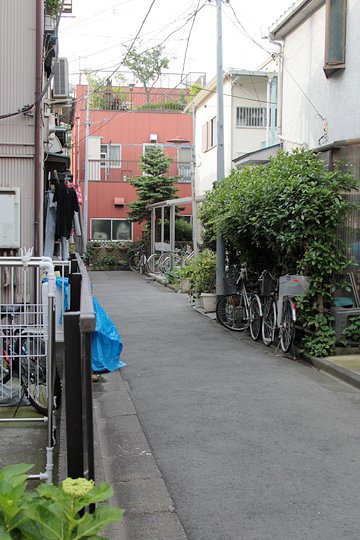 太田区のねこ