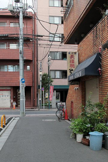 太田区のねこ
