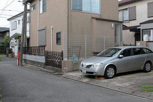 太田区のねこ