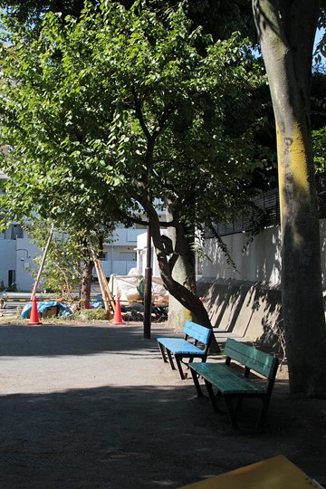 太田区のねこ