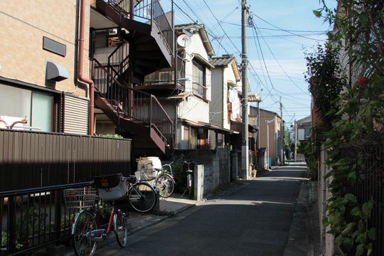 太田区のねこ