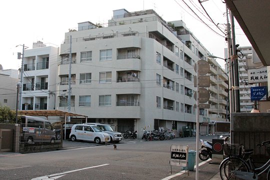 太田区のねこ