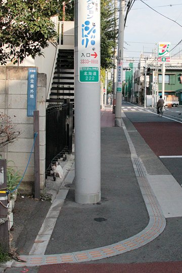 太田区のねこ