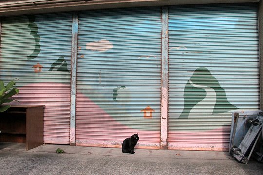 太田区のねこ