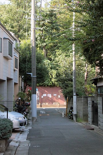 太田区のねこ