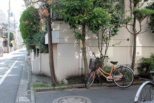 太田区のねこ