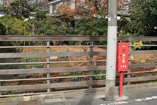 太田区のねこ