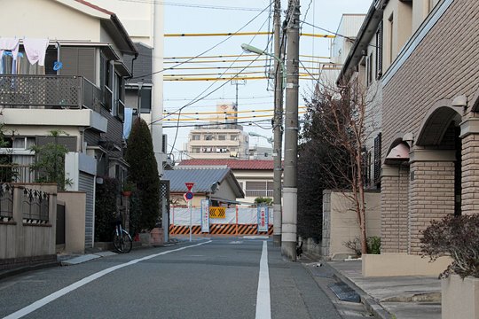 太田区のねこ