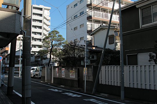 太田区のねこ