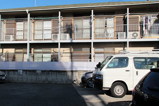 太田区のねこ