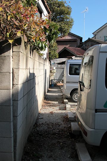 太田区のねこ