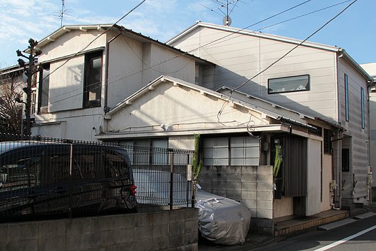 太田区のねこ