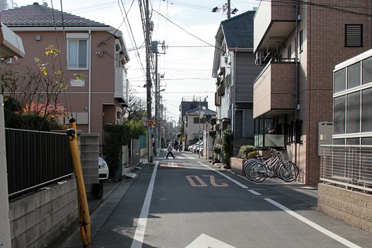 太田区のねこ