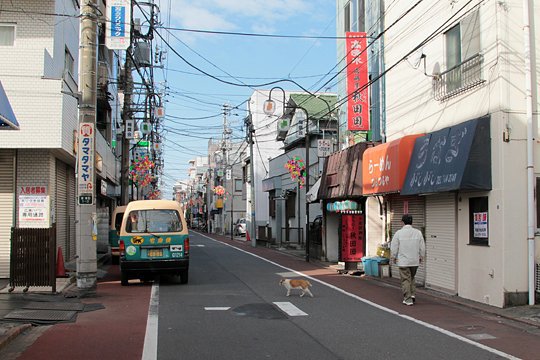太田区のねこ