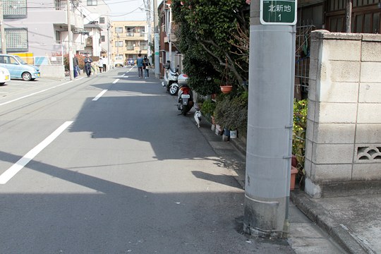 太田区のねこ