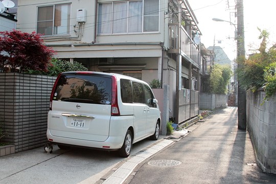 太田区のねこ