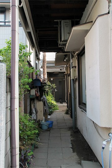 太田区のねこ