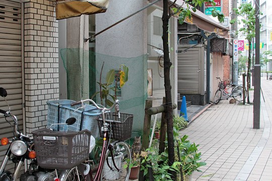 太田区のねこ