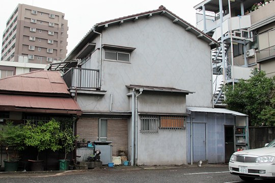 太田区のねこ