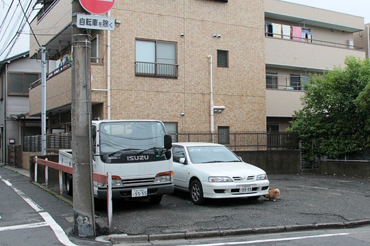 太田区のねこ