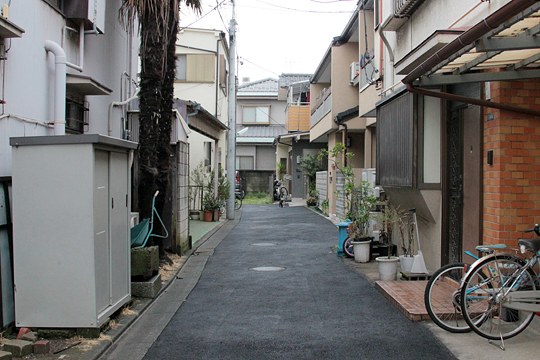 太田区のねこ