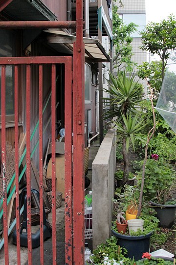 太田区のねこ