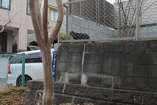 太田区のねこ