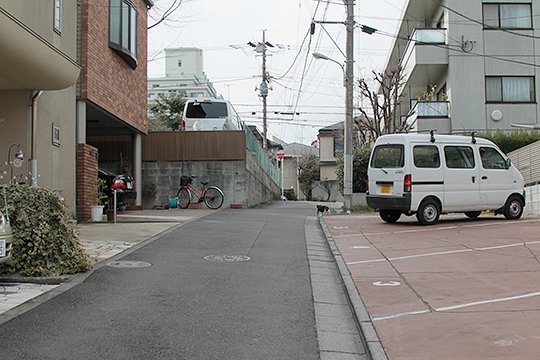 太田区のねこ