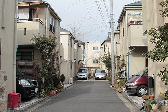 太田区のねこ