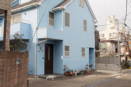 太田区のねこ