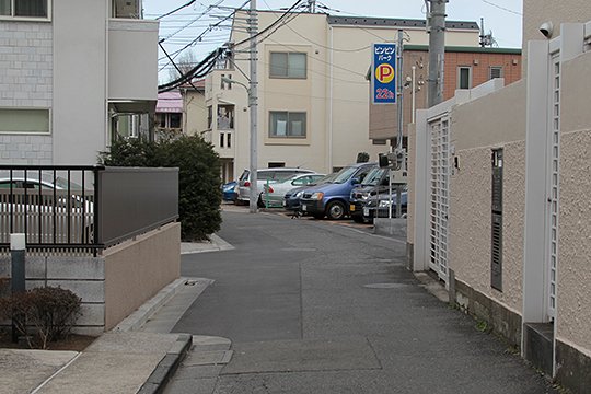 太田区のねこ
