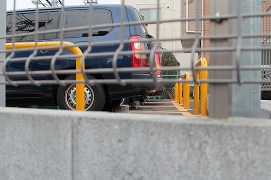 太田区のねこ