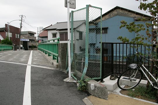 太田区のねこ