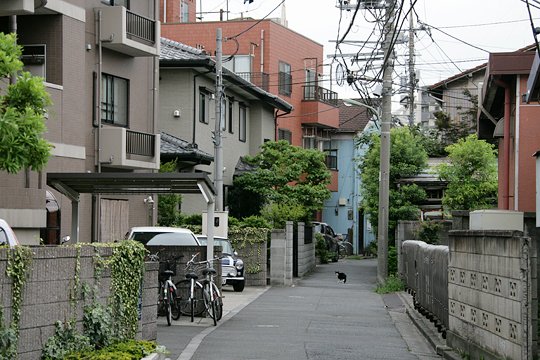 太田区のねこ