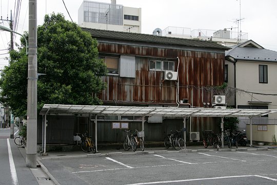 太田区のねこ