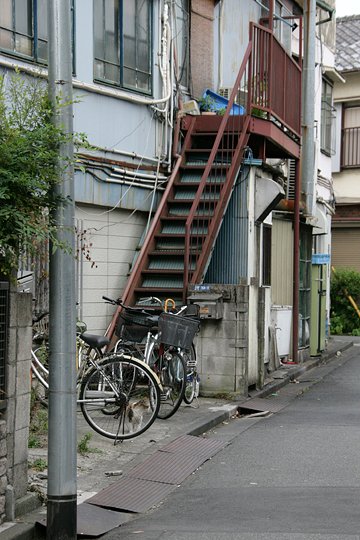 太田区のねこ