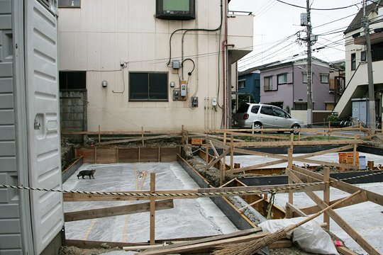 太田区のねこ
