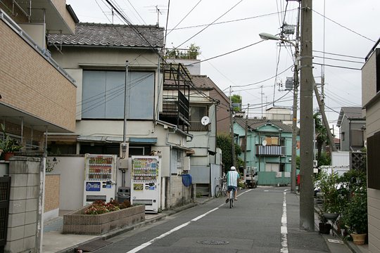 太田区のねこ