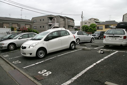太田区のねこ