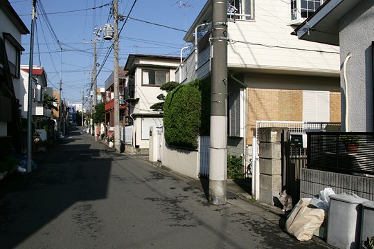 太田区のねこ