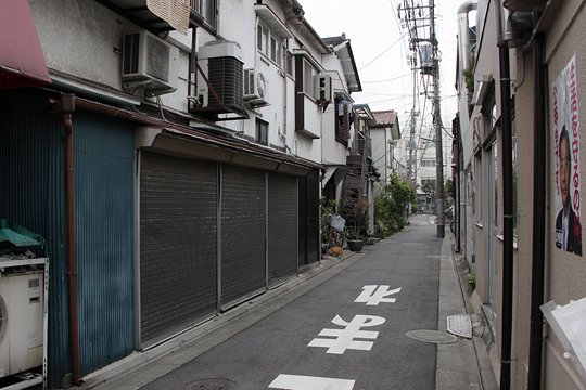 太田区のねこ