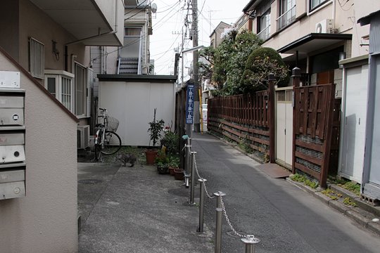 太田区のねこ