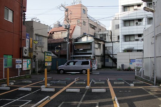 太田区のねこ
