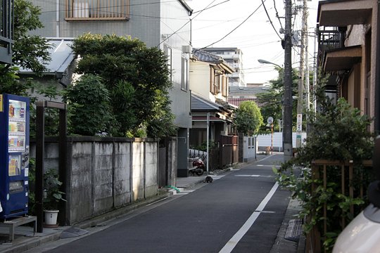 太田区のねこ