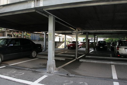 太田区のねこ