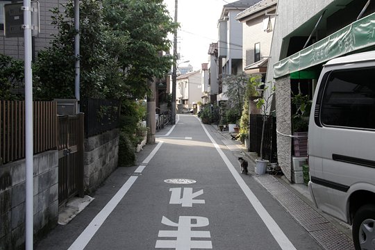 太田区のねこ