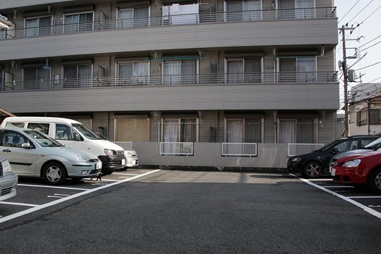 太田区のねこ